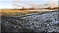 NY5055 : Frosty field on east side of rural road SE of Fenton by Roger Templeman