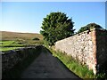 NY3037 : The Cumbria Way, Fell Side by Adrian Taylor