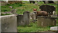 Mitcham Road Cemetery