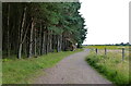 NO4721 : Fife Coastal Path towards the Tentsmuir National Nature Reserve by Mat Fascione