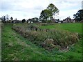 Moated Site at Hadnall