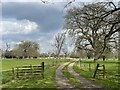 TM3458 : Driveway to Little Glemham Hall by Simon Mortimer