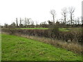 The former railway from across the River Blyth