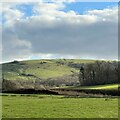 View SSE towards Sullington Hill