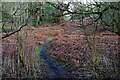 Footpath branching off public footpath to B4189, near Kidderminster, Worcs