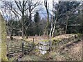 Stile, gate and dry stone wall