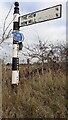 NY5056 : Cumberland County Council finger signpost at How Lane/How Street junction by Roger Templeman