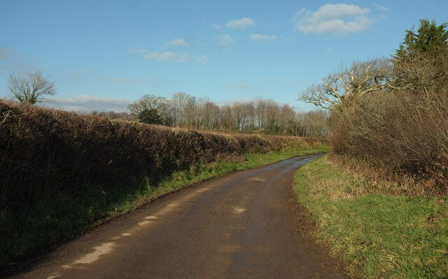 Lane approaching East Leigh