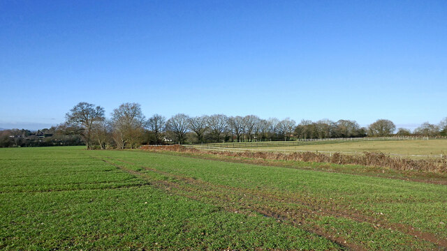 Shropshire pasture west of Albrighton