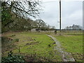 Stable or barn beside a copse