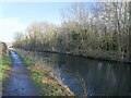 Frozen Canal