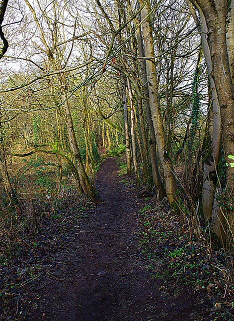 Public footpath to B4189 road, near Wolverley, Worcs