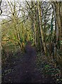 Public footpath to B4189 road, near Wolverley, Worcs