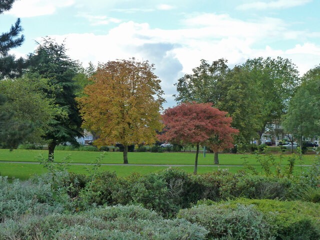 Trees and shrubs, Alexandra Park