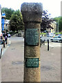 A pillar from Bodmin Priory