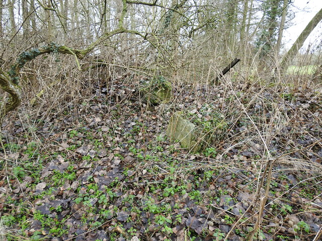 Detritus of a dismantled railway