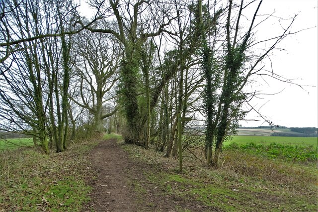 Path heading east from Welton Wold Farm