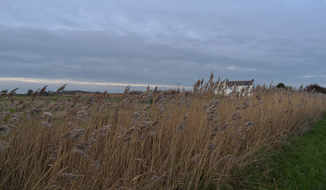 Southfield Farm seen through the long grass, Spurn Road, Kilnsea