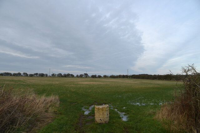 A field alongside Easington Road, Kilnsea
