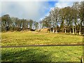 Field near Brackenhill Tower