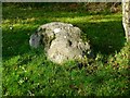 Large boulder set into the ground by the side of the Lancaster Canal