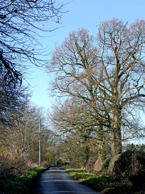 Beamish Lane east of Albrighton in Shropshire