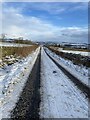 Road near Nether Blainslie - slippier than it looks