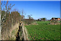 Footpath and grass fields south of Codsall Wood, Staffordshire