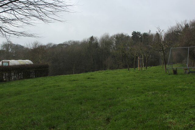 Pasture beside Clough Lane