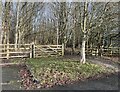 Entrance to woodland from car park on industrial estate