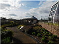 Boots Library rooftop garden, Nottingham Trent University