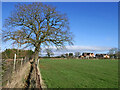 Footpath and football pitch near Codsall Wood, Staffordshire