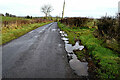 Puddles along Ballynahatty Road