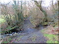 Trac yn rhydio nant / A track fords a stream