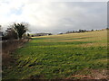 View from Chartham Cemetery