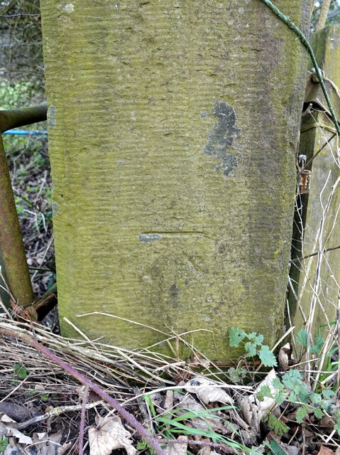 Benchmark on Forest Farm Road gatepost, Delamere Forest