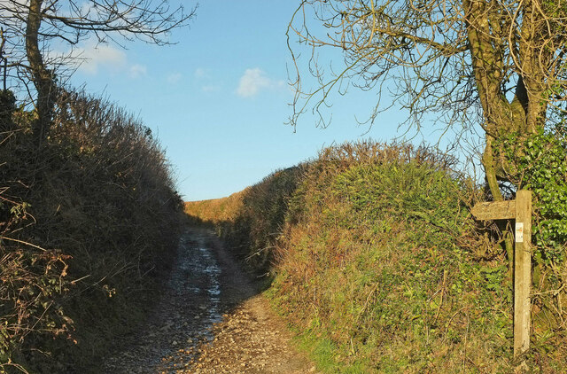 Lupridge Lane