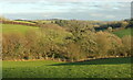 Fields and trees, Shaddows