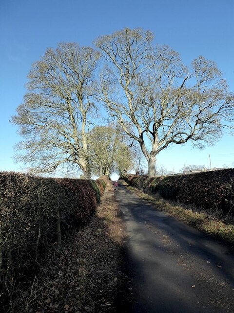The road to Haughton Castle