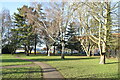 Tree-lined path in Staines Park