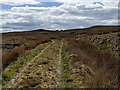 SH7942 : The track to Cefngarw by David Medcalf