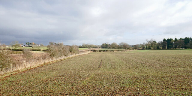 Staffordshire crop field west of Codsall