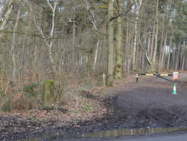 Forest track and a gatepost, Barnsbridge Gate, Delamere Forest
