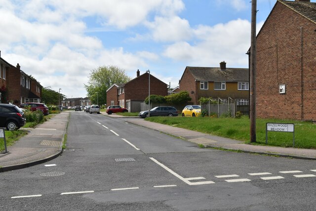 Hazelwood Meadow © N Chadwick cc-by-sa/2.0 :: Geograph Britain and Ireland