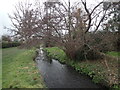 River Shuttle near Crofton Avenue