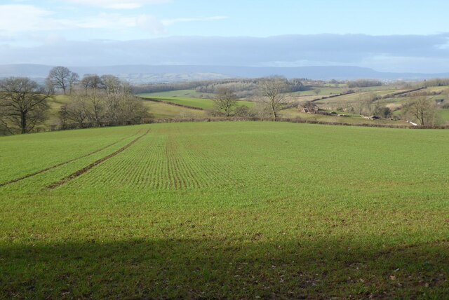 Farmland below Garway Hill