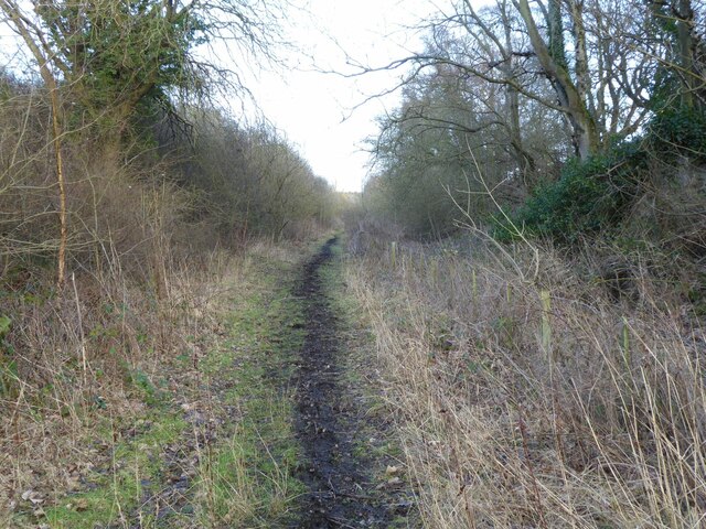 The track bed of the Aln Valley Railway