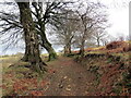 Llwybr ger Cwmceredig / Path near Cwmceredig