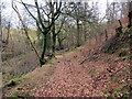 Llwybr ger Nant Geredig / Path near Nant Geredig