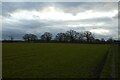 Bridleway near Moor Lane